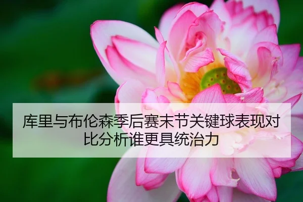 库里与布伦森季后赛末节关键球表现对比分析谁更具统治力