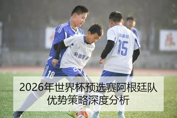 2026年世界杯预选赛阿根廷队优势策略深度分析